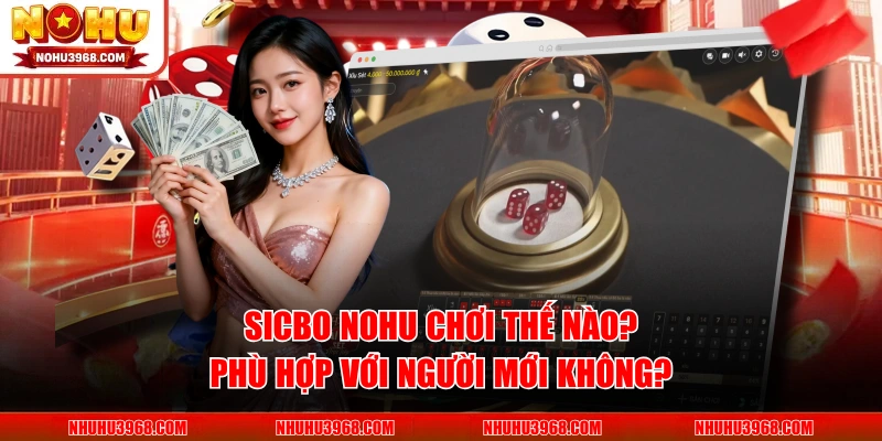 Sicbo NOHU Chơi Thế Nào? Phù Hợp Với Người Mới Không?